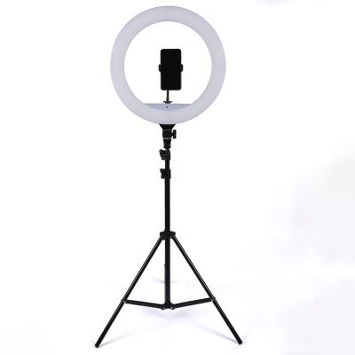 China Hot Selling ABS Makeup LED Ring Light 18 Inch Photography Studio Props for sale