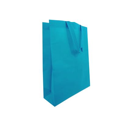 China Cheap Custom Handled Printed Non Woven Recyclable Fabric Carry Bag With Logo for sale