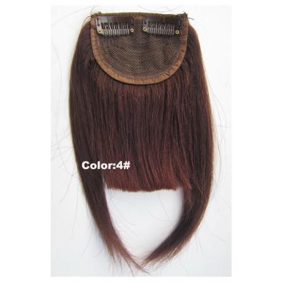 China Silky Straight Wave Hair Clip In Hair Bangs Blunt Bangs Natural Hair Fringe Wig for sale