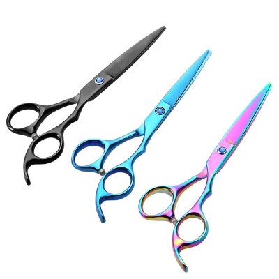 China Hot Selling Thinning Scissors 2021 6 Inch Stainless Steel Hair Cutting Scissors Salon Barber Hairdressing Scissors for sale