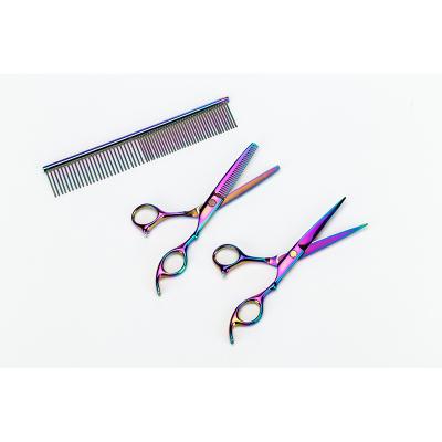 China Thinning Scissors Hairdressing Tools Shape Portable 3 Pieces Scissors Comb Set For Hair Cutting for sale