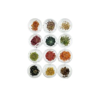 China 12 Colors Eco-friendly Material Nail Art Decorations Natural Dry Flower Nail Dried Flower For Nails for sale