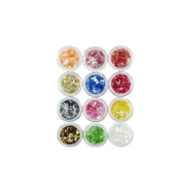 China Easy Apply Hot Sale 12 Colors Nail Accessories Glitter For Nails Nail Art Glitter for sale