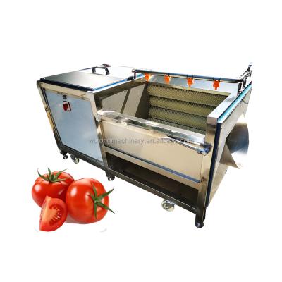 China Automatic Fruit Ginger Peeling Machine Easy Operation Root Vegetable Potato Washing and Peeling Machine for sale