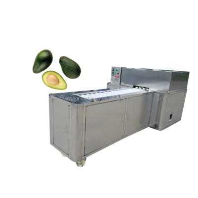 China High Efficiency Easy Operate Apricot Peach Hawthorn Berry Jujube Cherry Olives Plums Apples Seed Removing Pitting Machine for sale