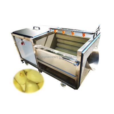 China Easy Operation Root Vegetable Potato Peeling And Washing Machine Cassava Carrot Peeling And Washing Machine for sale