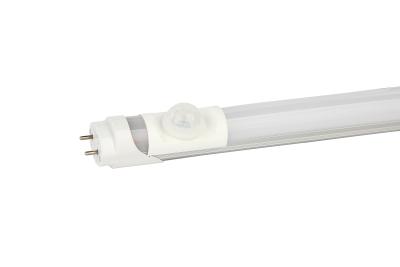 China Home / Office Lighting 18 Watt LED T8 Tubes , Energy Saving Led Tube Light for sale