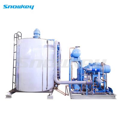 China Factory Snowkey 60 Ton Commercial Large Flake Ice Machine For Cold Storage for sale