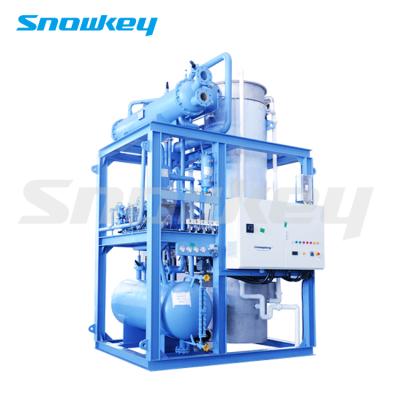 China High Quality Snowkey Factory 20 Tons Tube Ice Machine Tube Ice Plant For Drinking for sale