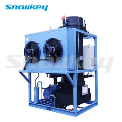 China Snowkey Design Ice Tube Machine 3 Ton Philippines Tube Ice Cream for sale