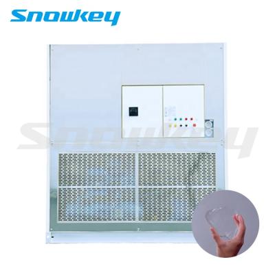 China Factory Snowkey Plate Ice Machine For Sale for sale