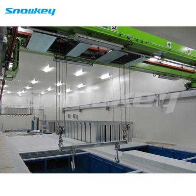 China Snowkey hotels 100 ton block ice plant ice block making machine price of ice maker for sale