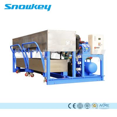 China High Quality Hotels Snowkey 1 Ton Direct Cooling Block Ice Machine For Seafood for sale