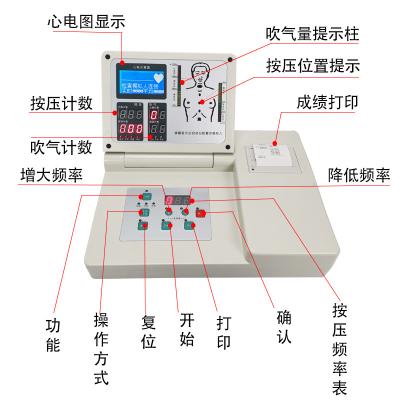 Китай CPR590 Thermal Adhesive And PVC And Multifunctional Advanced CPR Simulates The Whole Body продается