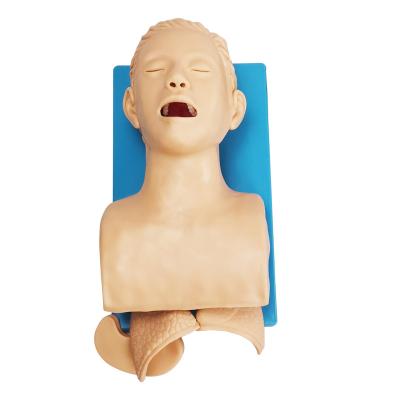 Chine J5S Human Trachea lntubation Model,Electronic tracheal intubation first aid training manikin à vendre