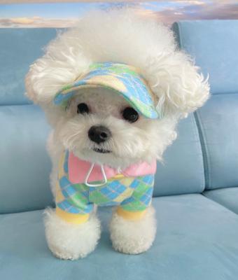 China Wholesale INS Fall/Winter Golf Suit Cap Diamond Check Color Dog Pet Cat Stocked Pet Hat for sale