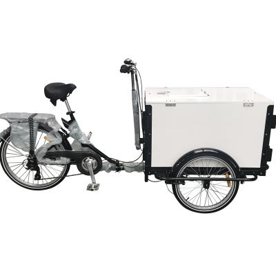 China No 20 Inch 3 Inch 24 Speed ​​Three Wheel Cargo Bike With Front Box Adult Tricycle for sale