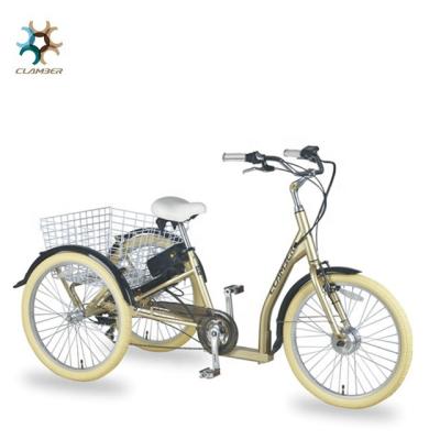 China Cheap 3 Wheel Electric Adult Cargo Tricycle Electric Power Assist Tricycle With Front Basket for sale