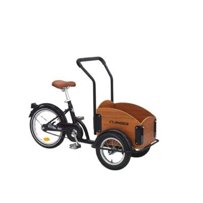 China Polish Cargo Stock Three Wheels Cargobike Tricycle For Kids Or Carryng Pets 12