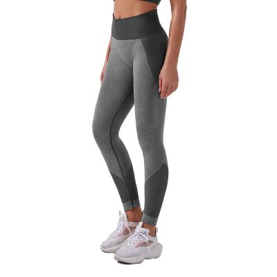 China Factory Supply Nice Price Breathable High Waist Sports Elastic Yoga Legging for sale