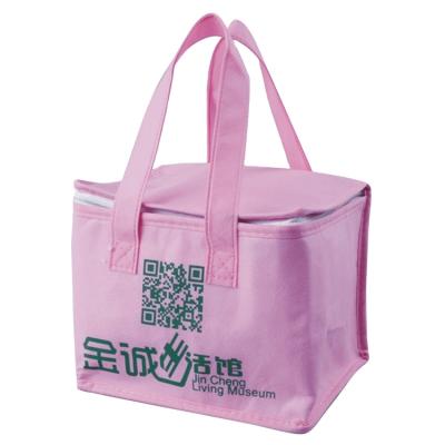 China Eco-Friendly Outdoor Cheap High Quality Cooler Bag Cooler Bag Thermal Lunch Travel Food for sale