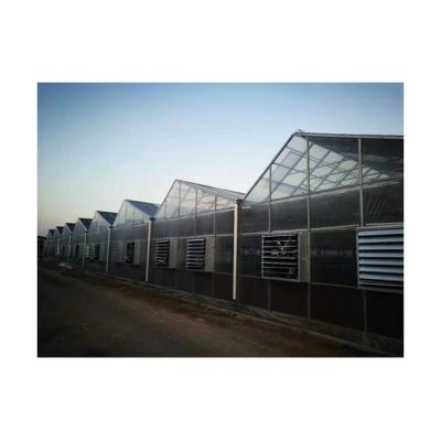 China Cheap Sale Vegetable Hot Good Quality Chinese Solar Greenhouse Passive Solar Greenhouse Solar Drier Greenhouse for sale