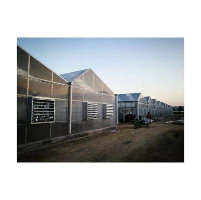 China 2021 Special Hot Selling China Solar Greenhouse Sistem Solar Panel Structure Greenhouse Plants Solar Greenhouse for sale