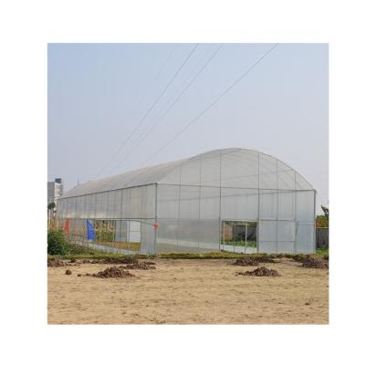 China Vegetable Exquisite Structure Manufacturing Customized Single Span 6-10m Greenhouse for sale