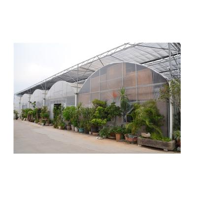 China 2020 Plants New Type Customized Intelligent Smart Tunnel Garden Solar Power Greenhouse for sale