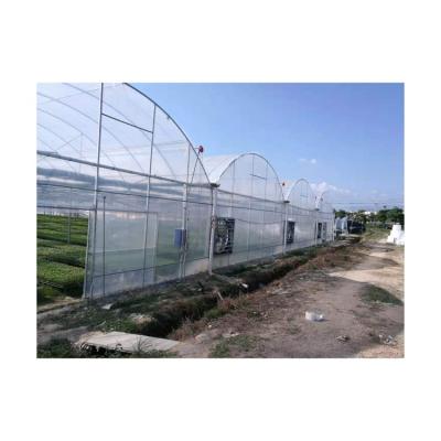 China Vegetable Professional Cheap Vegetable Greenhouse Smart Greenhouse With Interior Shading for sale