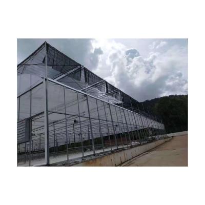 China China Hot Sale Good Quality Cheap Agricultural Vegetable Growing Systems Hydroponic Greenhouse for sale