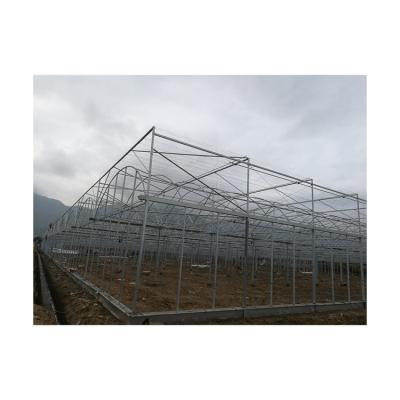 China Vegetable Unique Design Hot Sale Cheap Vegetable Garden Greenhouse For Flowers for sale