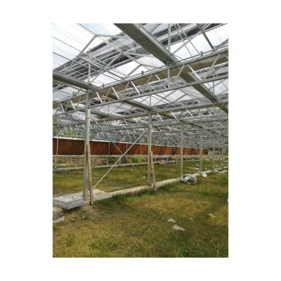 China Polycarbonate Sheet Garden Greenhouse Vegetable Hot Selling Agricultural Snow Proof for sale