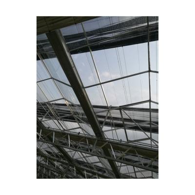 China Vegetable made of China top quality commercial flower greenhouse garden greenhouse solar panel polycarbonate for sale