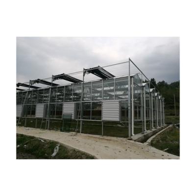 China Vegetable Widely Used Polycarbonate Vegetable Commercial Greenhouse Top Quality Garden Wide Greenhouse for sale