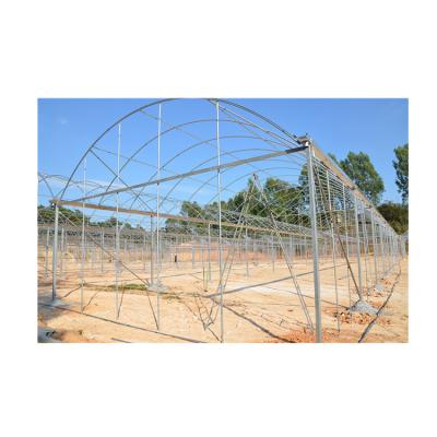 China Vegetable Factory Supply Customized Multi Span Steel Vegetable Greenhouse 6-10m HDG for sale