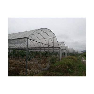 China Cheap vegetable winter vegetable garden flower greenhouse for vegetable seed breeding for sale