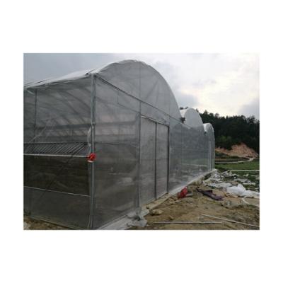 China Vegetable Single Plastic Film Agriculture Tunnel Greenhouse For Flowers Plant Grow Vegetables for sale