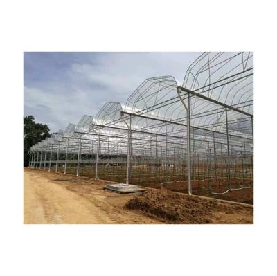 China Vegetable Factory Sale Fruits In Multi Span Farm Glass Vertical Vegetable Greenhouse for sale