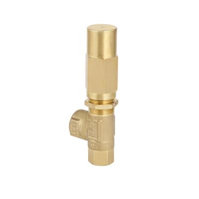 China Building Material Shops Safety Relief Valve Bypass Pressure Regulator  150BAR For Plunger Pump JS20 for sale