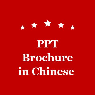 China PPT-Brochureontwerp Marketing Wijn in China Te koop