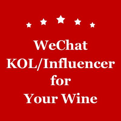 China WeChat KOL Marketing Wijn in het Ontwerp van China Weibo Influencer PPT Te koop