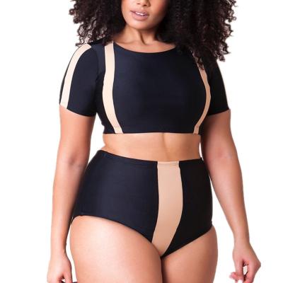 China Breathable large size swimwear one-piece swimwear plus size sexy big breast women girls swimming suits wholesale for sale