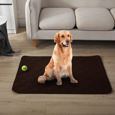 China Waterproof Super Absorbent Waterproof Non Slip Reusable Washable Dog Training Pet Pee Pads for sale