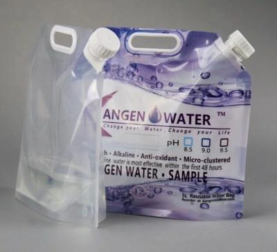 China Custom Printing 5L Foldable Water Bag With Handle for sale