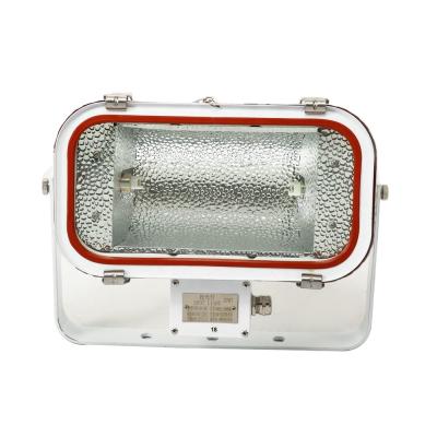 China Boat/dock/plaza tungsten halogen stainless steel flood light waterproof light spot light TG67 500W 1000W for sale