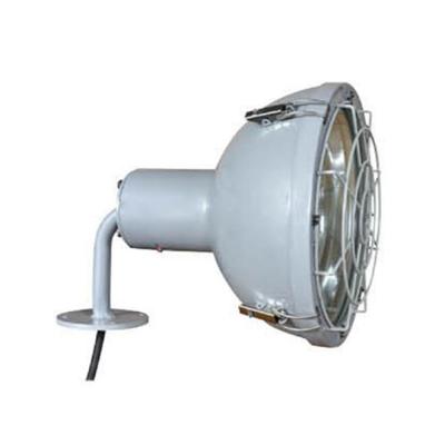 China Steel Guard IP55 300W E40 Marine Spot Incandescent Light With for sale