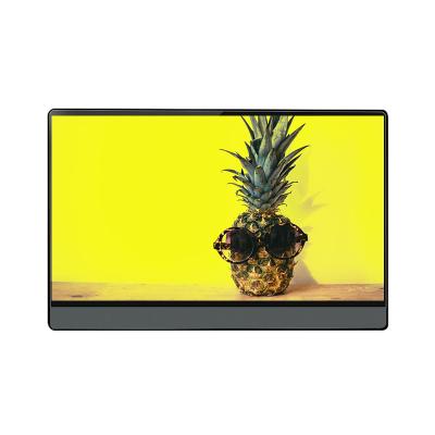 Китай 13.3 Inch Portable Extended Display Screen Mobile Computer External Touch Screen Speaker With Battery продается