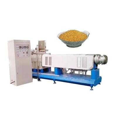 China Factory Arroz Twin-screw Rice in Bangkok Artificial Rice Production Line Extruder for sale