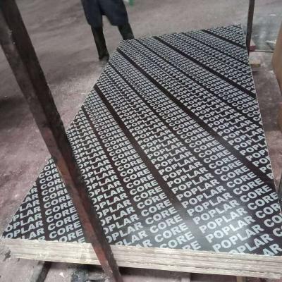 China Modern 18mm (average 17.5mm) black film faced plywood / common finger plywood for construction for sale